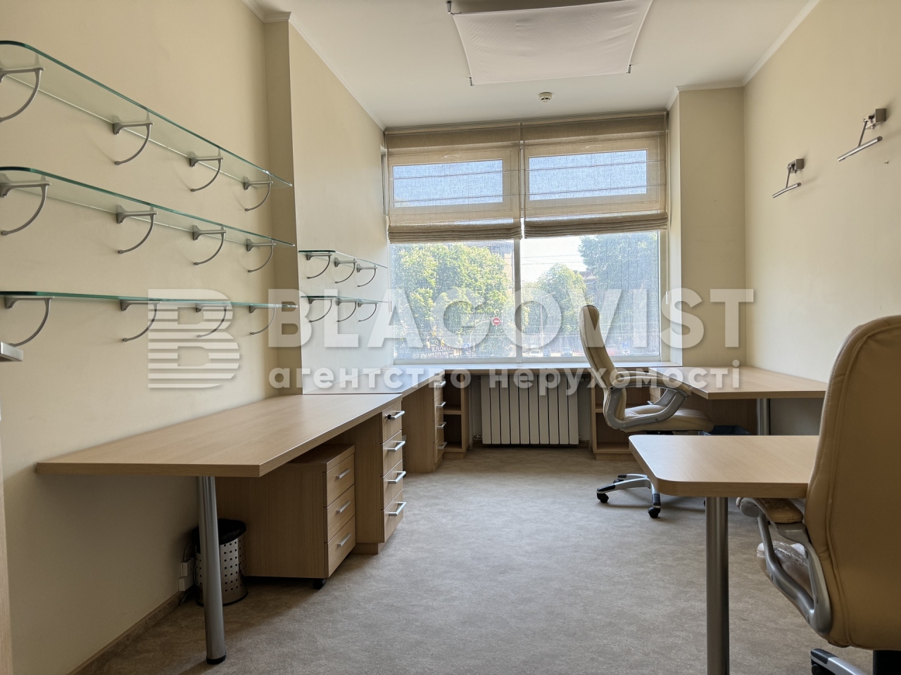  Office, P-32461, Kniaziv Ostroz'kykh (Moskovs'ka), Kyiv - Photo 14