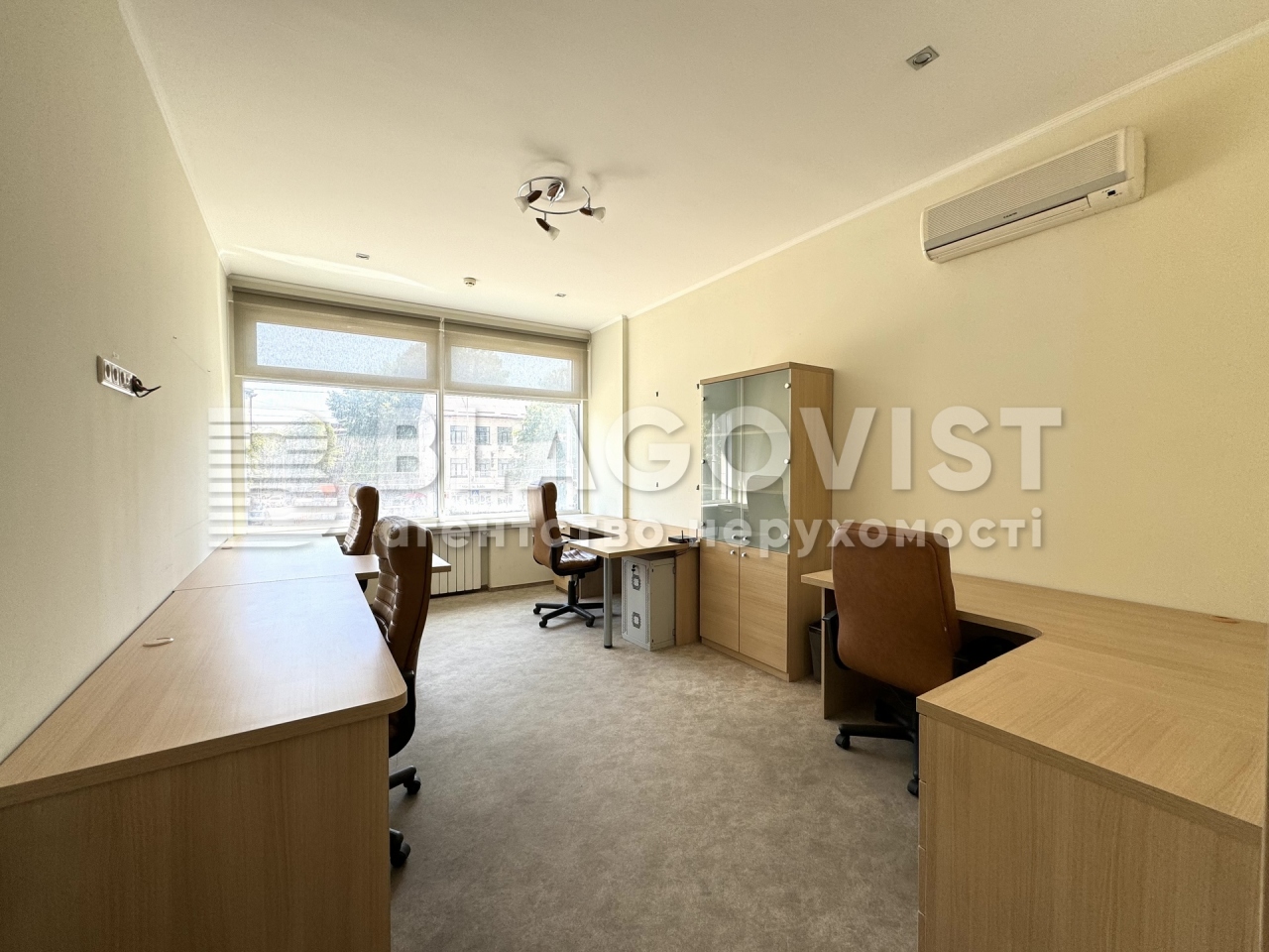  Office, P-32461, Kniaziv Ostroz'kykh (Moskovs'ka), Kyiv - Photo 10